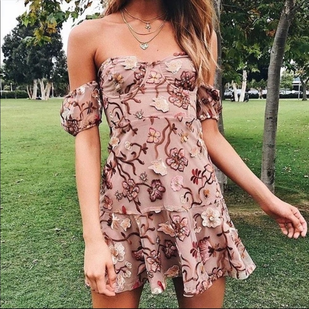 For love and lemons 3D Botanical mini dress